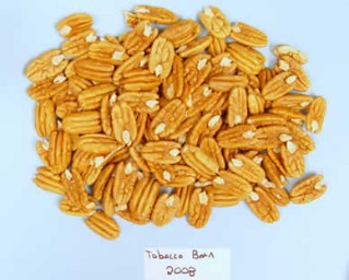 Tobacco Barn kernels in 2008. Note how whole kernel halves are produced.